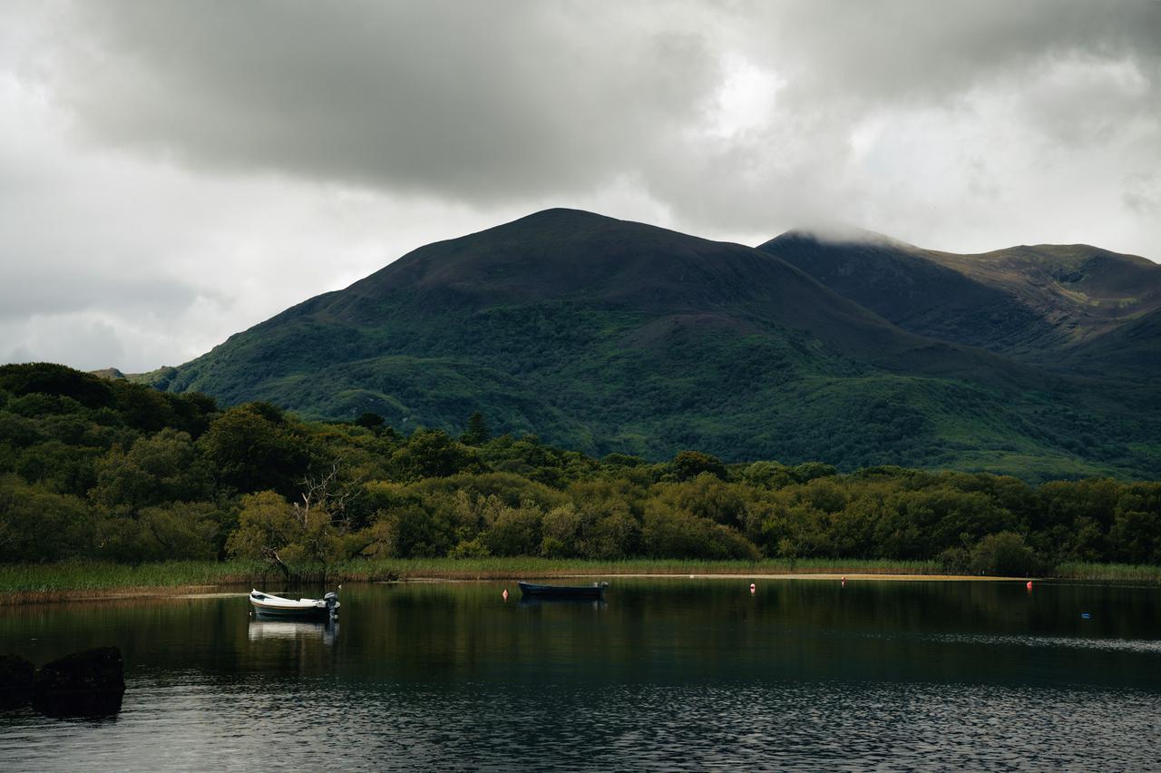 A wooded lake in County Kerry